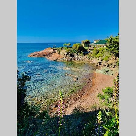 Apartament Antheor - Vue Exceptionnelle - Refait A Neuf 4 Couchages Saint-Raphaël Zewnętrze zdjęcie