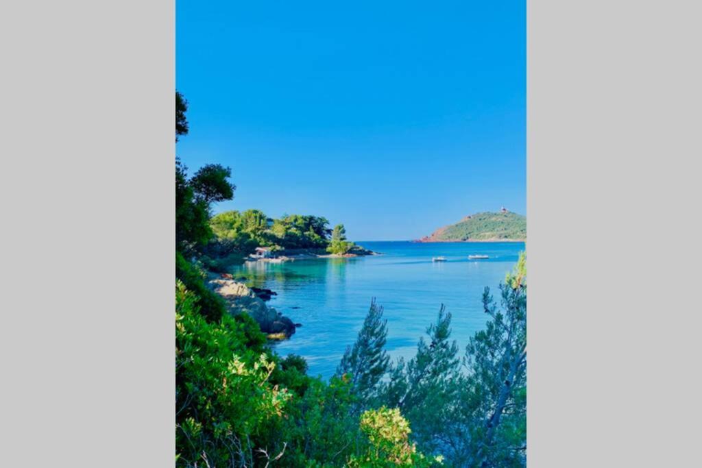 Apartament Antheor - Vue Exceptionnelle - Refait A Neuf 4 Couchages Saint-Raphaël Zewnętrze zdjęcie