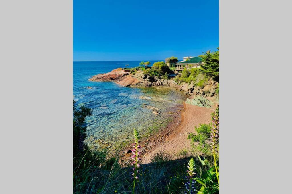 Apartament Antheor - Vue Exceptionnelle - Refait A Neuf 4 Couchages Saint-Raphaël Zewnętrze zdjęcie